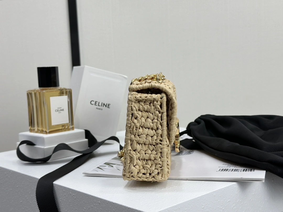 Celine Triomphe Bags Functional 94513