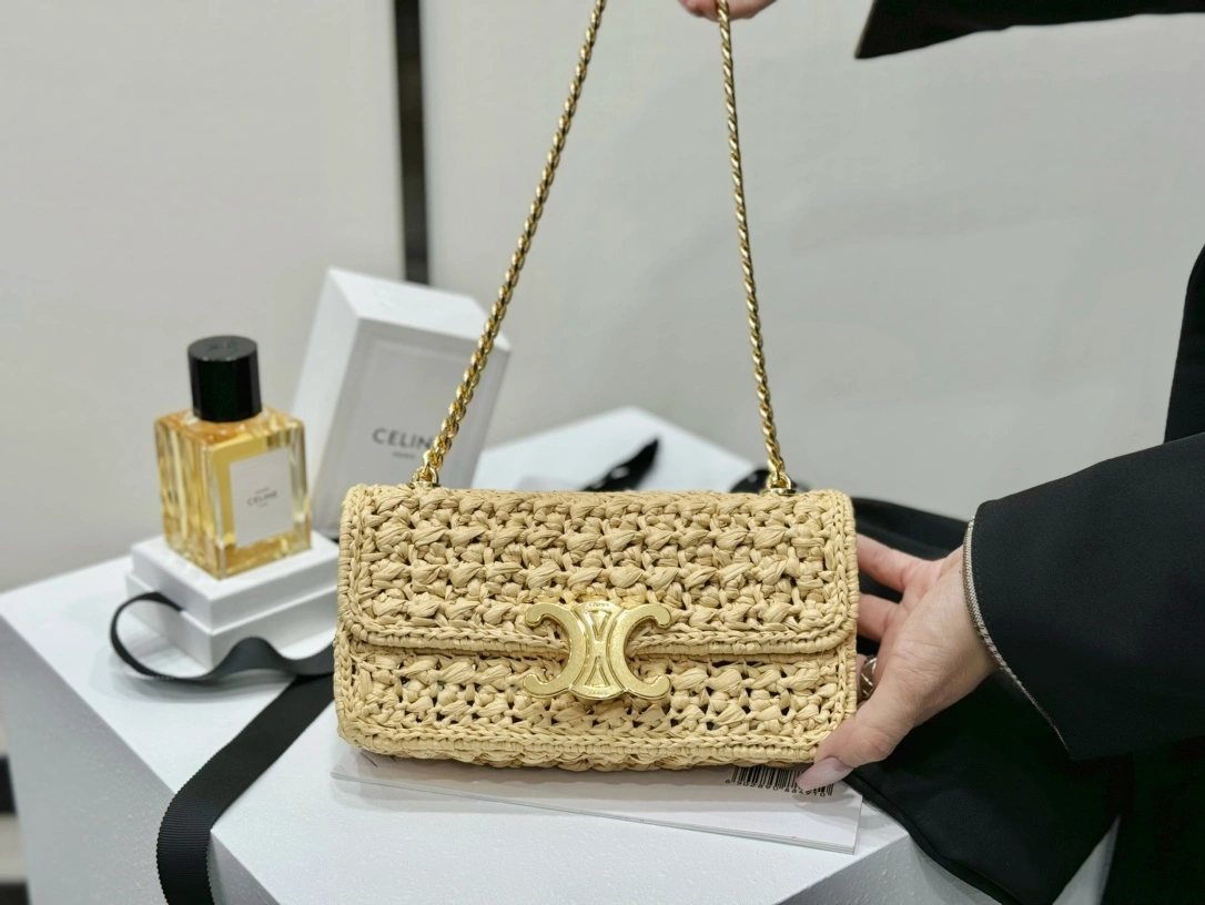 Celine Triomphe Bags Functional 94513