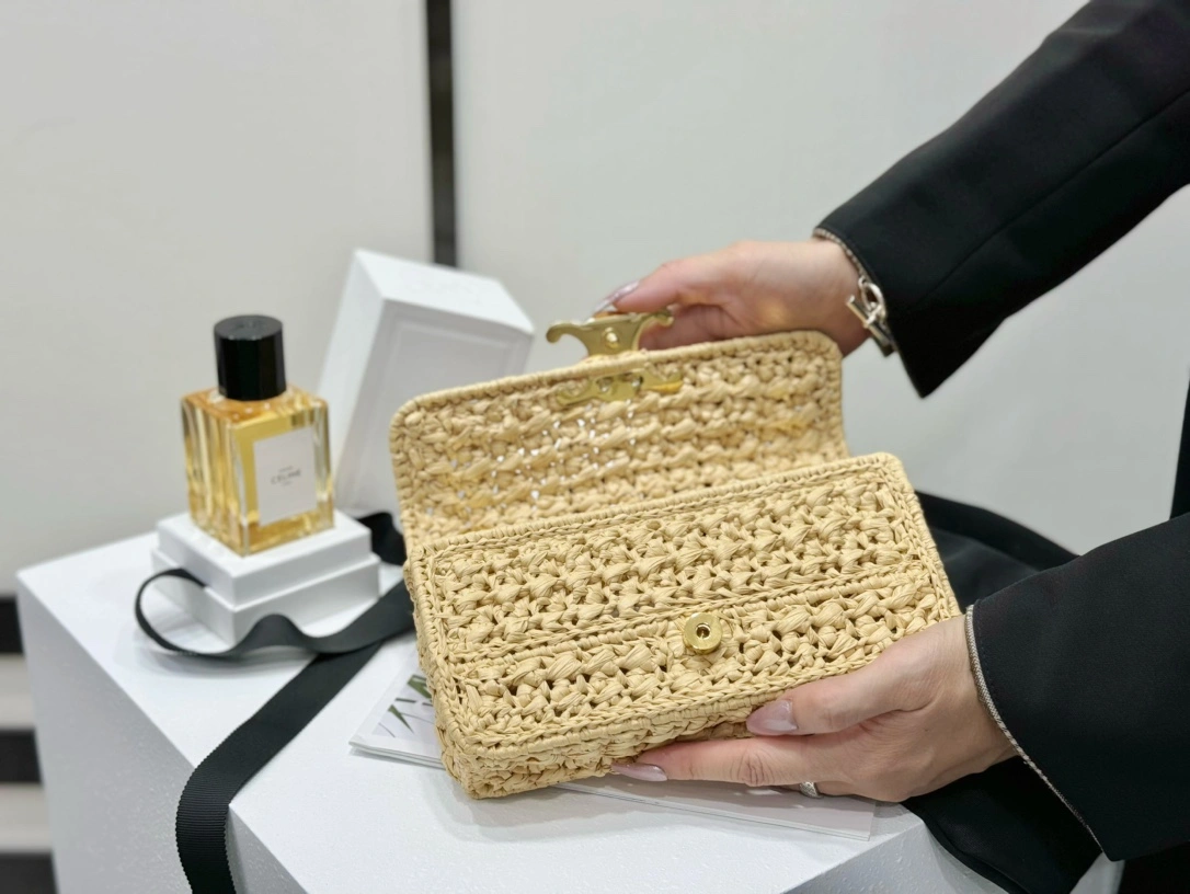 Celine Triomphe Bags Functional 94513