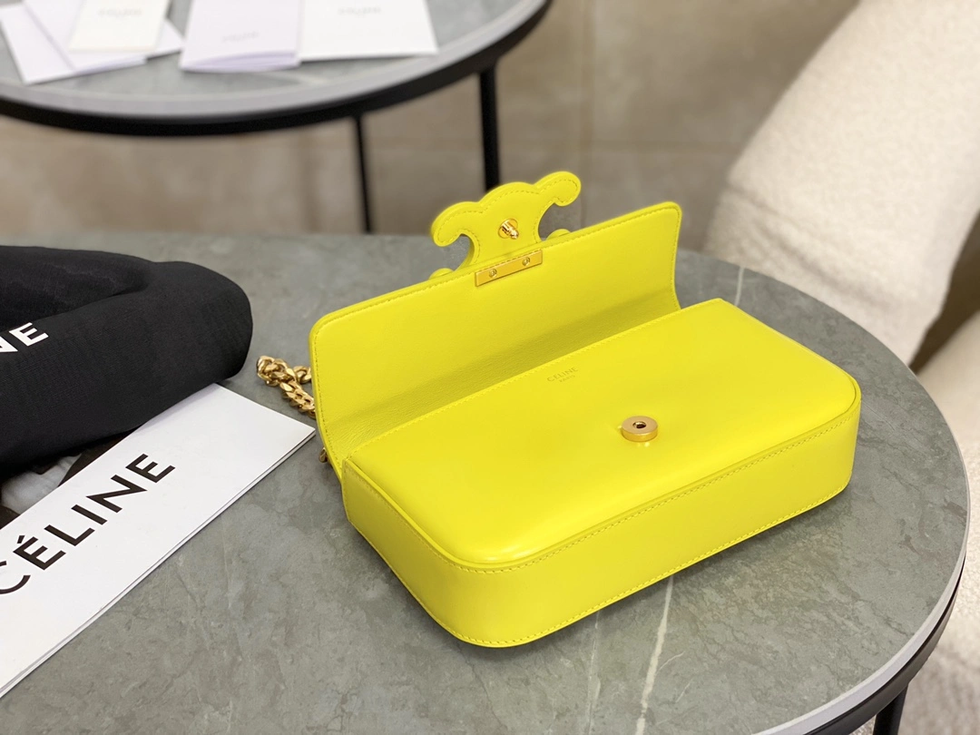 ZipUp Celine Triomphe Bags 94507