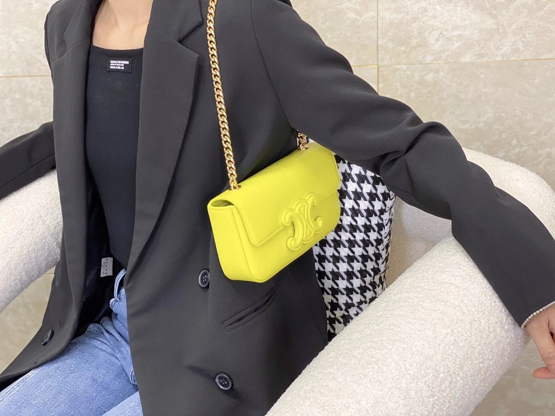ZipUp Celine Triomphe Bags 94507