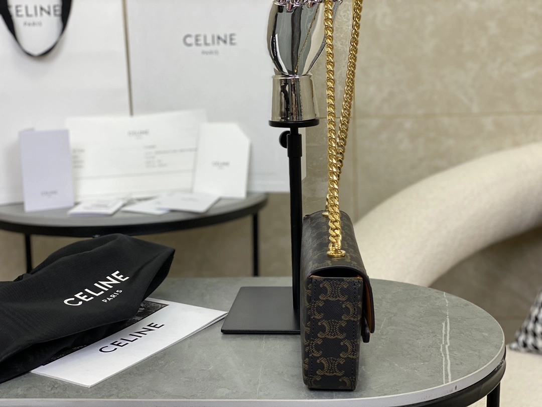 Celine Triomphe Bags Affordable 94580