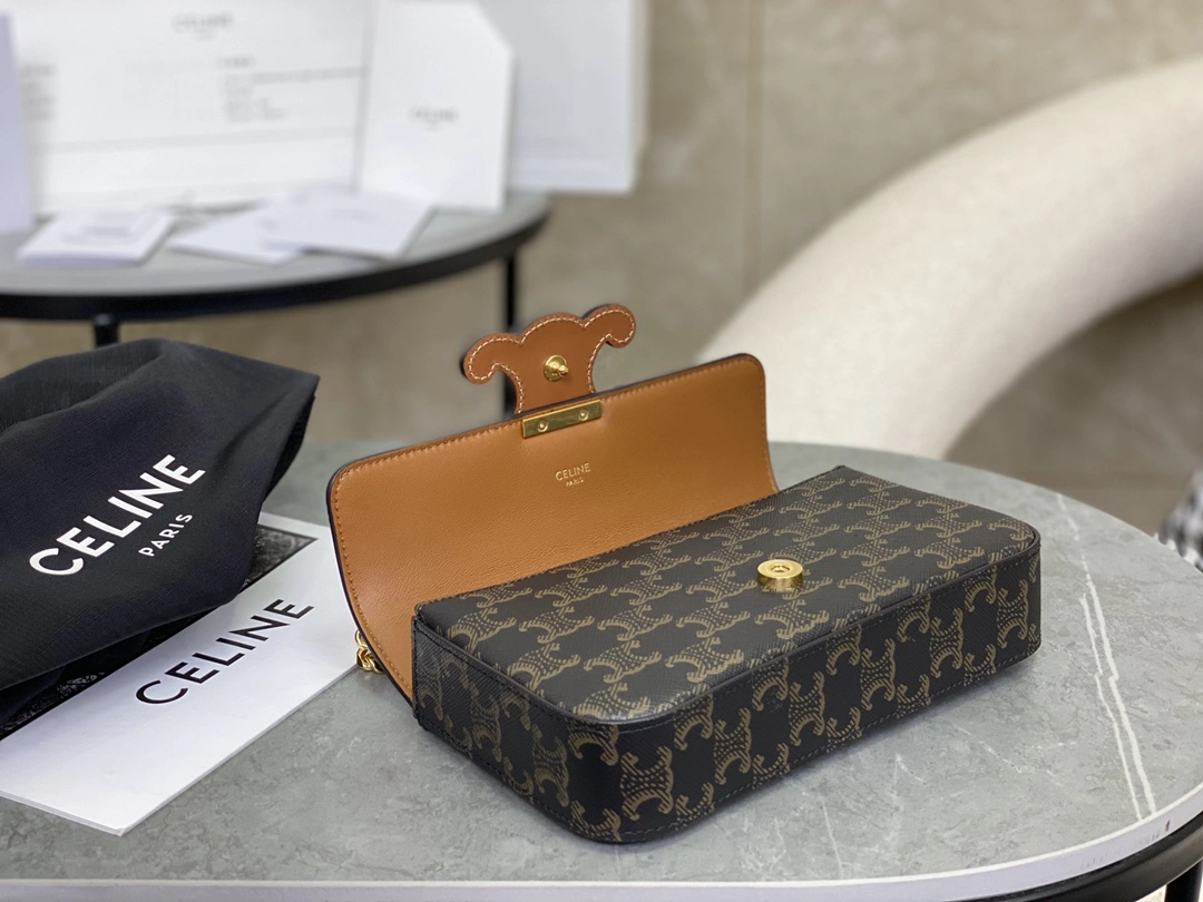 Celine Triomphe Bags Affordable 94580