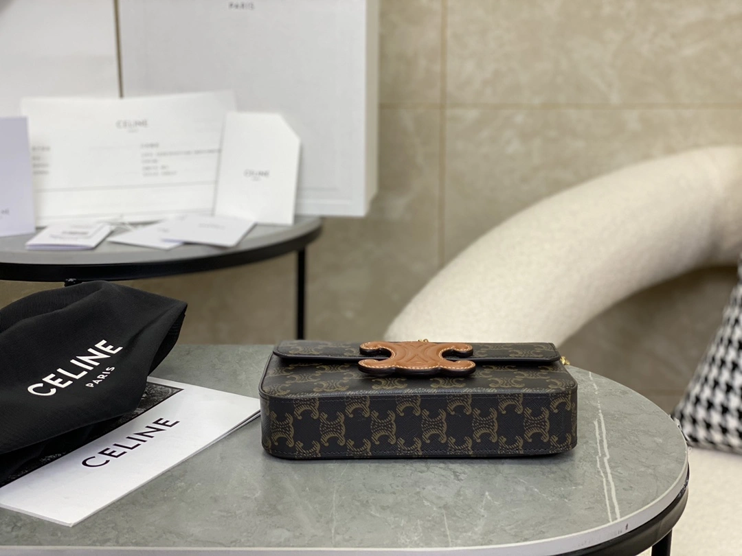 Celine Triomphe Bags Affordable 94580