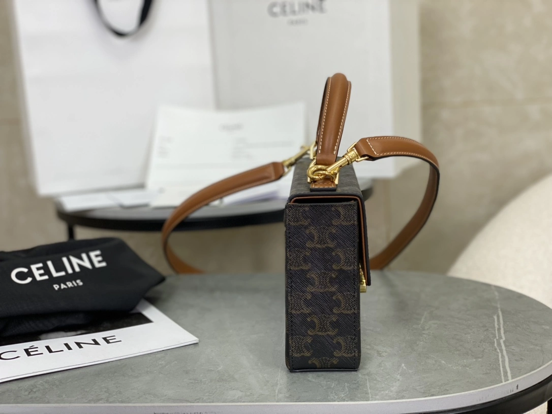 Celine Triomphe Bags TopPick 94506