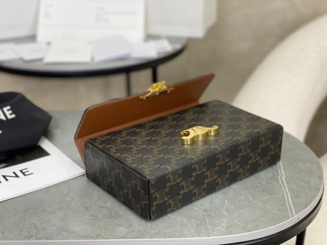 Celine Triomphe Bags TopPick 94506