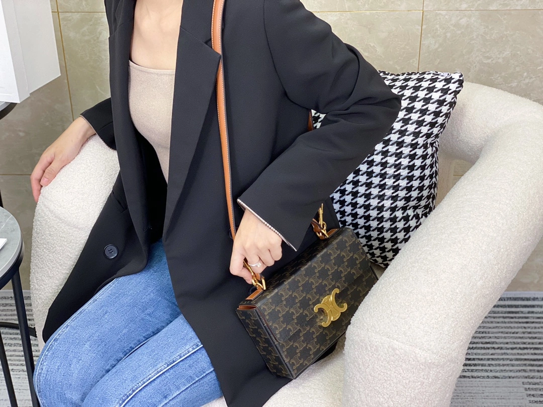 Celine Triomphe Bags TopPick 94506
