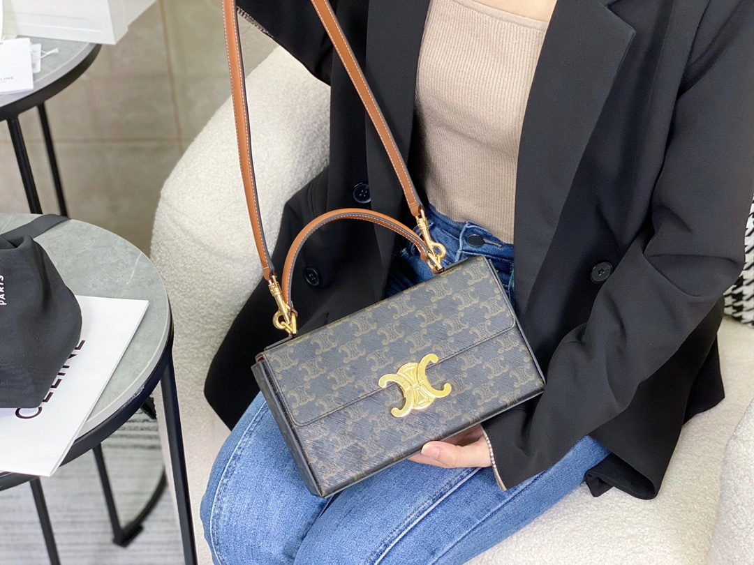 Celine Triomphe Bags TopPick 94506