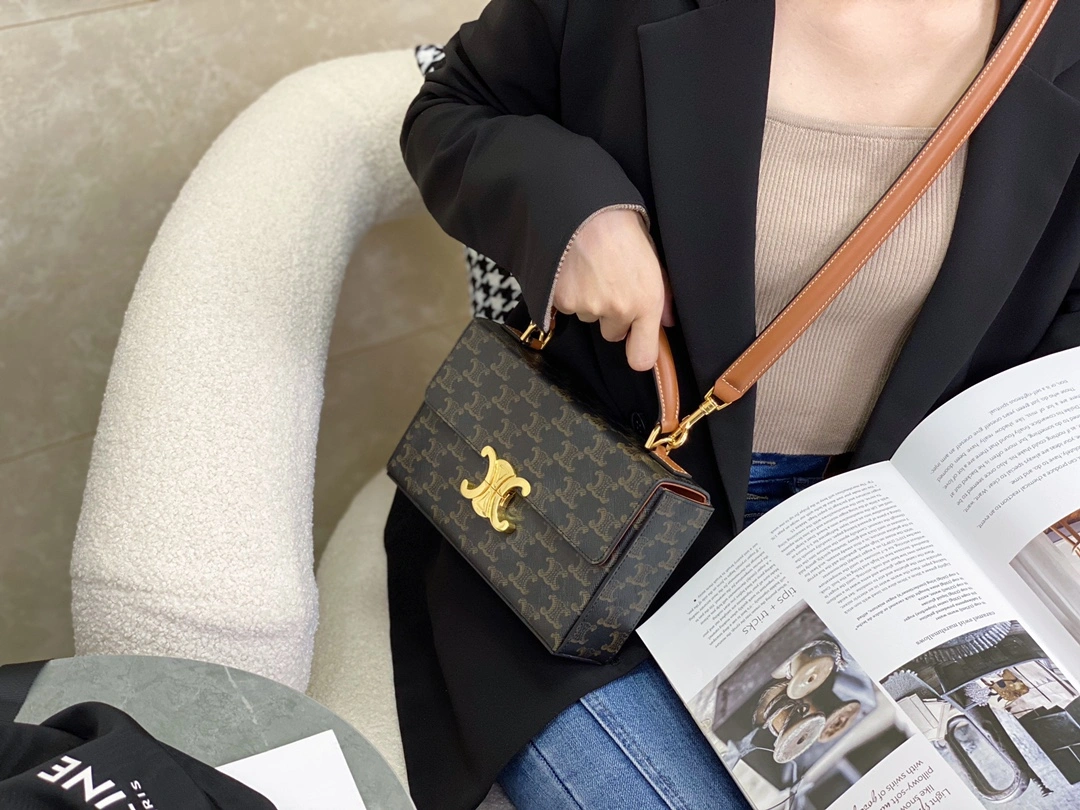 Celine Triomphe Bags TopPick 94506