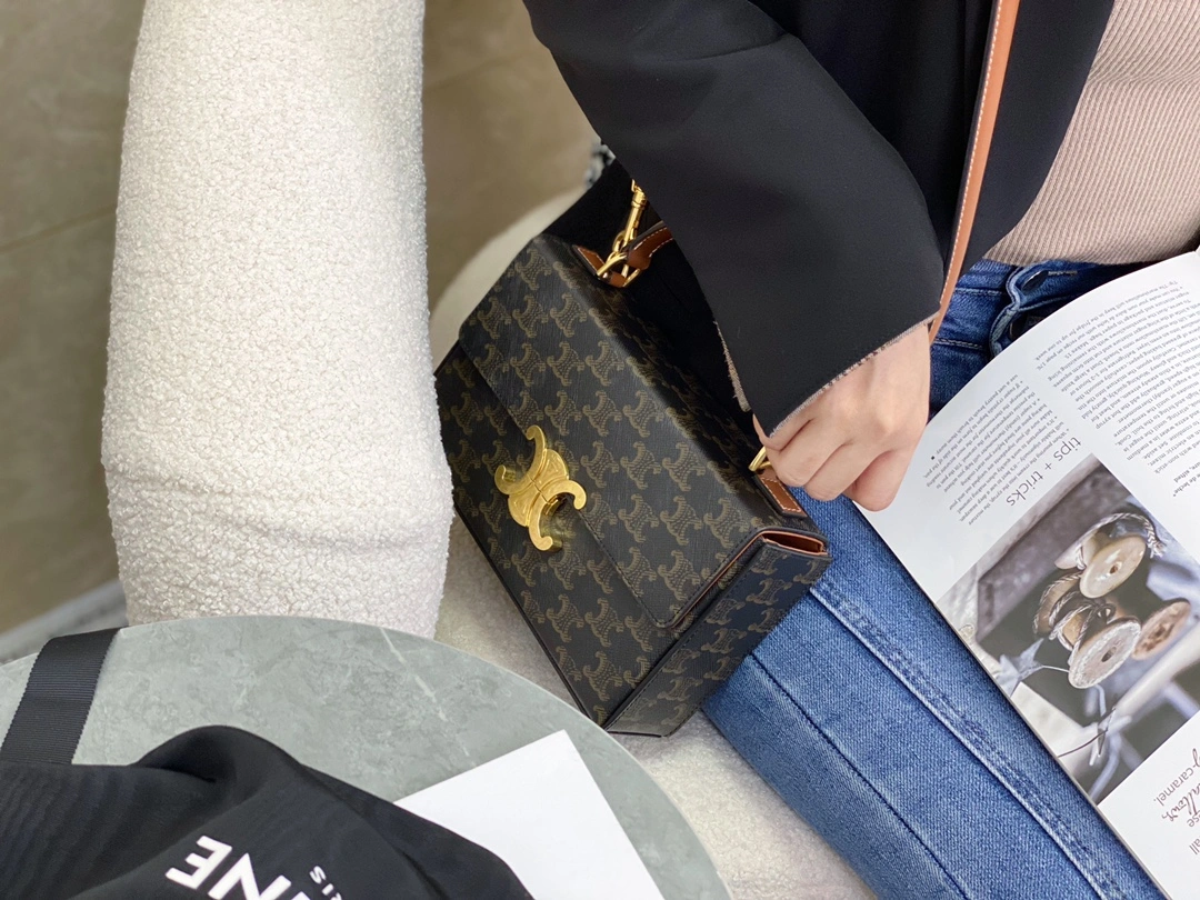 Celine Triomphe Bags TopPick 94506
