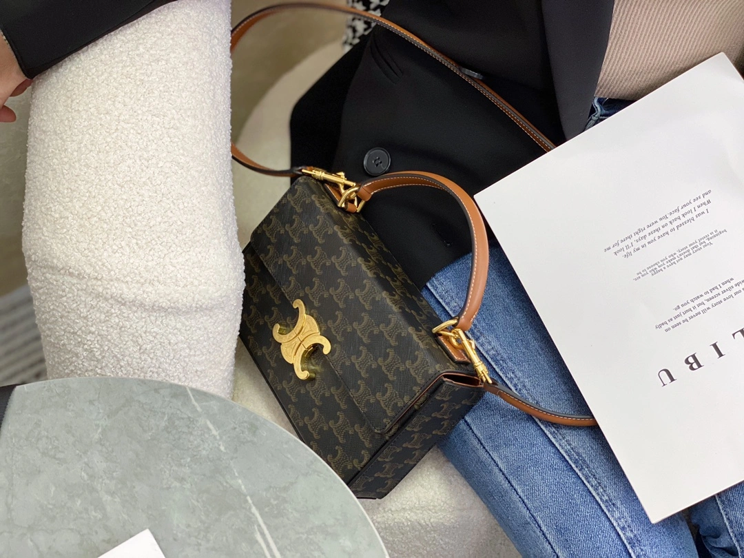 Celine Triomphe Bags TopPick 94506