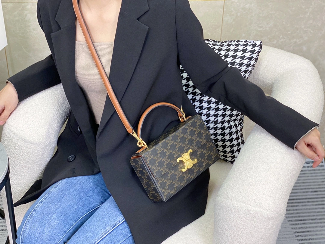 Celine Triomphe Bags TopPick 94506