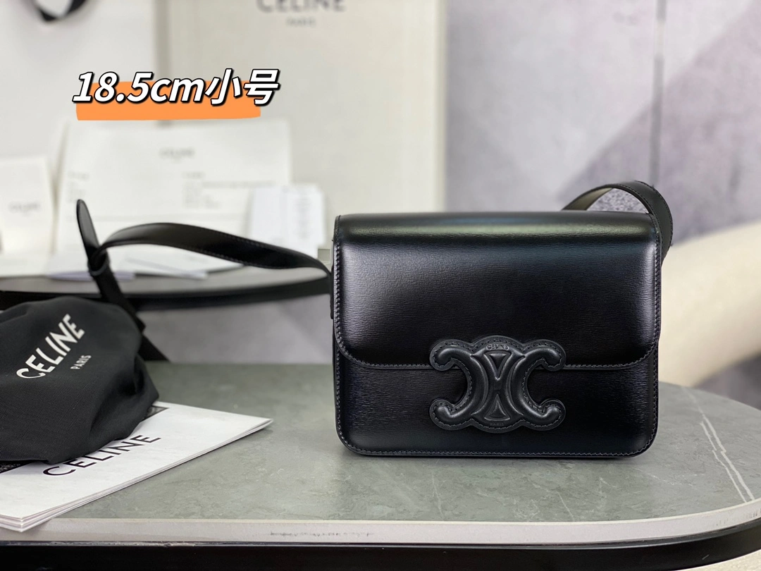 Upgraded Celine Triomphe Bags 94500