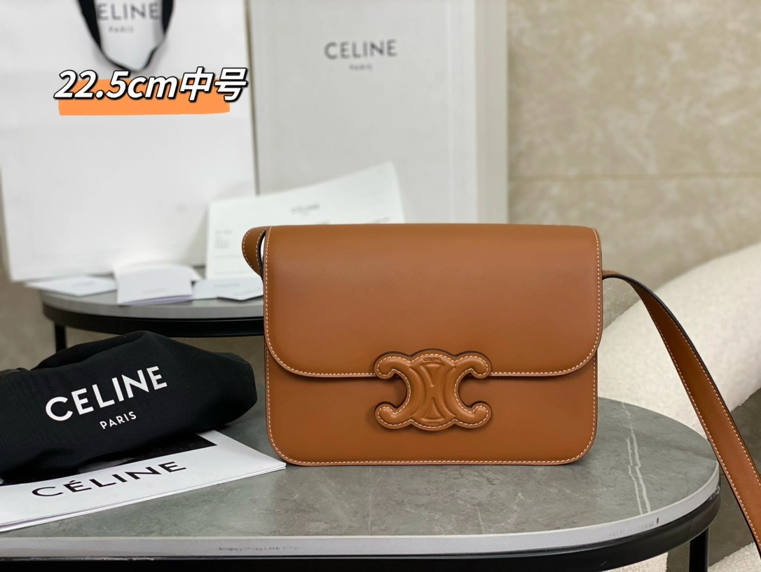 AllSeason Celine Triomphe Bags 94505