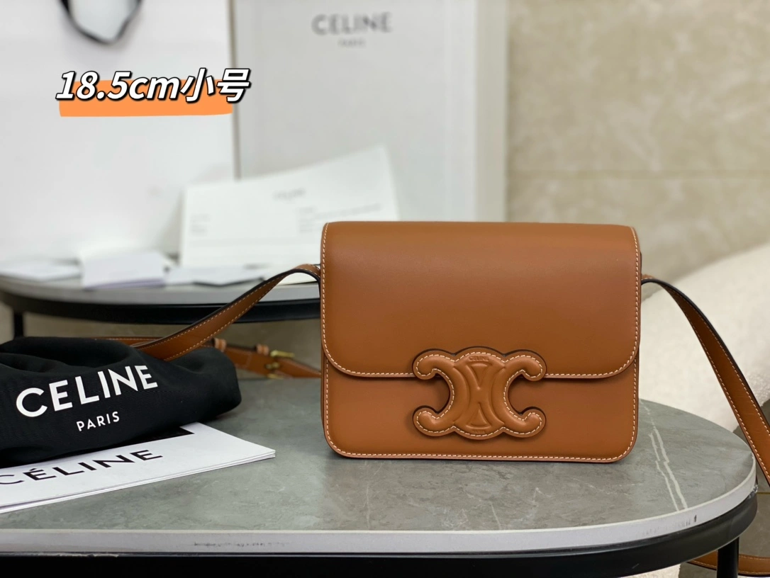 EasyCare Celine Triomphe Bags 94509