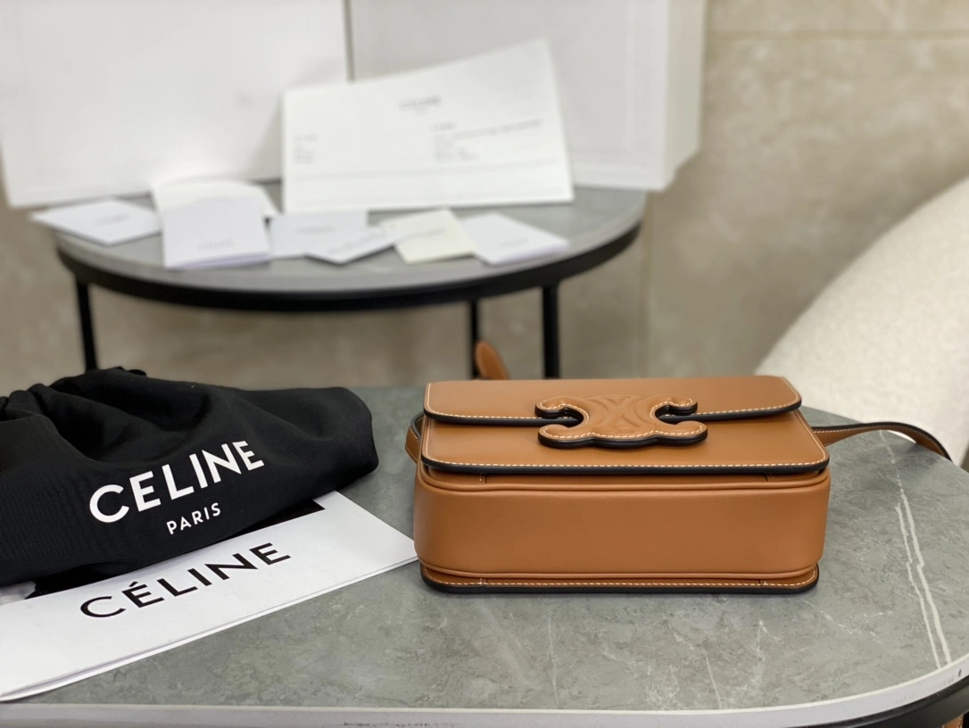 EasyCare Celine Triomphe Bags 94509