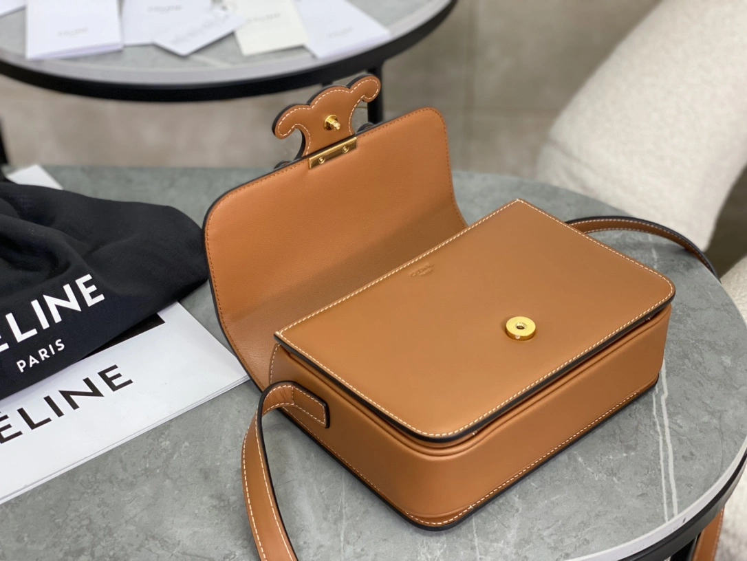 EasyCare Celine Triomphe Bags 94509