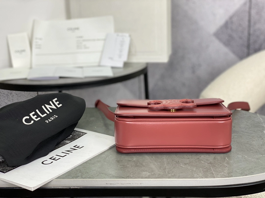Supportive Celine Triomphe Bags 94541