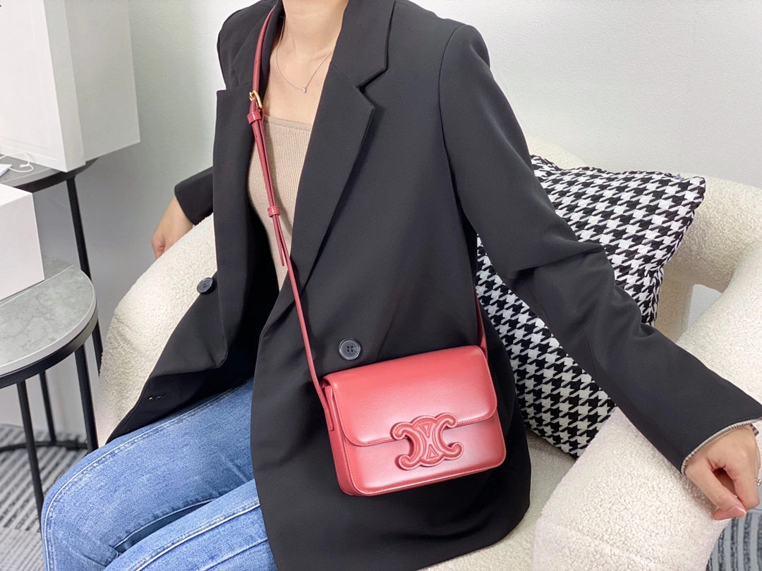 Supportive Celine Triomphe Bags 94541