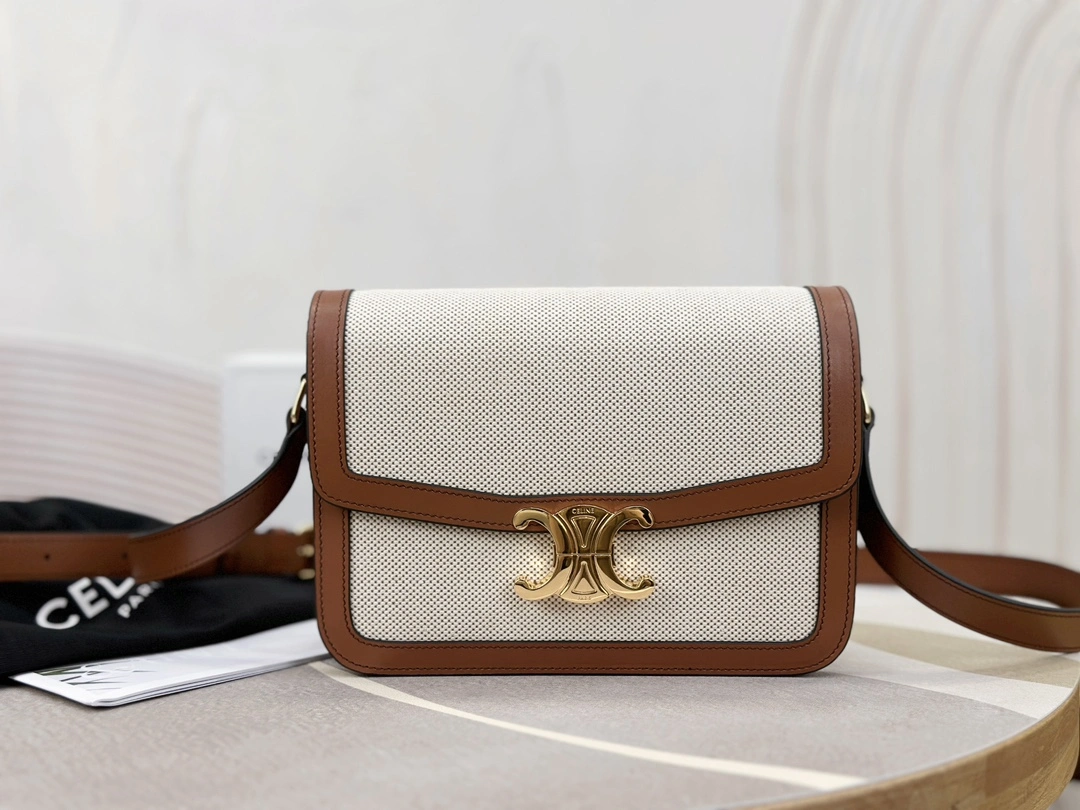 WellDesigned Celine Triomphe Bags 94501