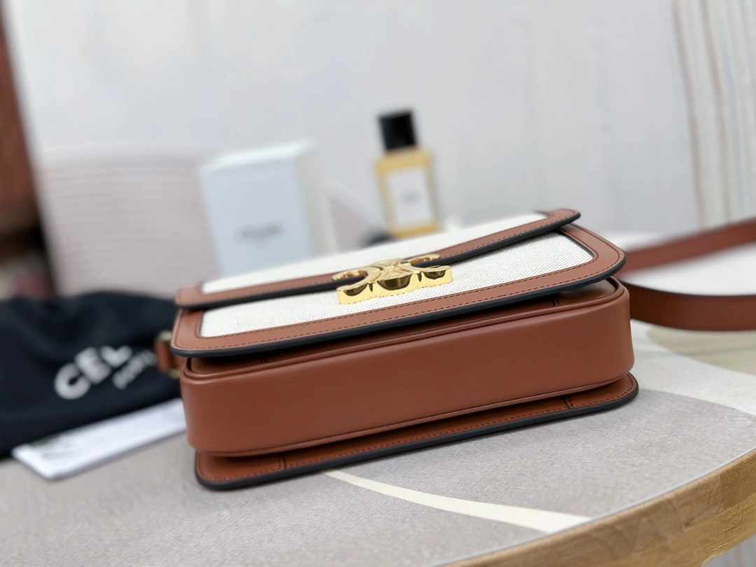 WellDesigned Celine Triomphe Bags 94501