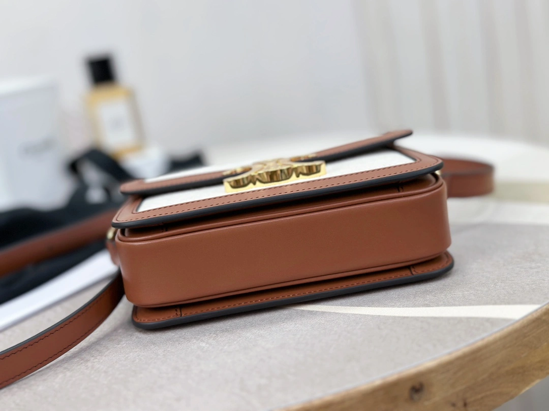 Celine Triomphe Bags NewStyle 94499
