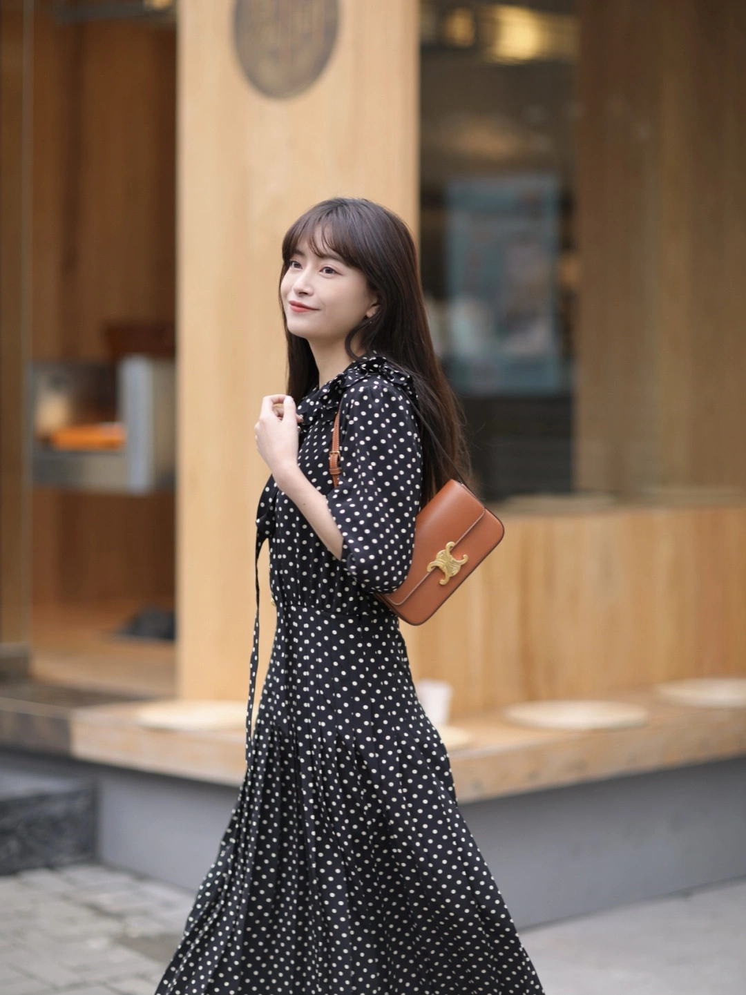 Versatile Celine Triomphe Bags 94495