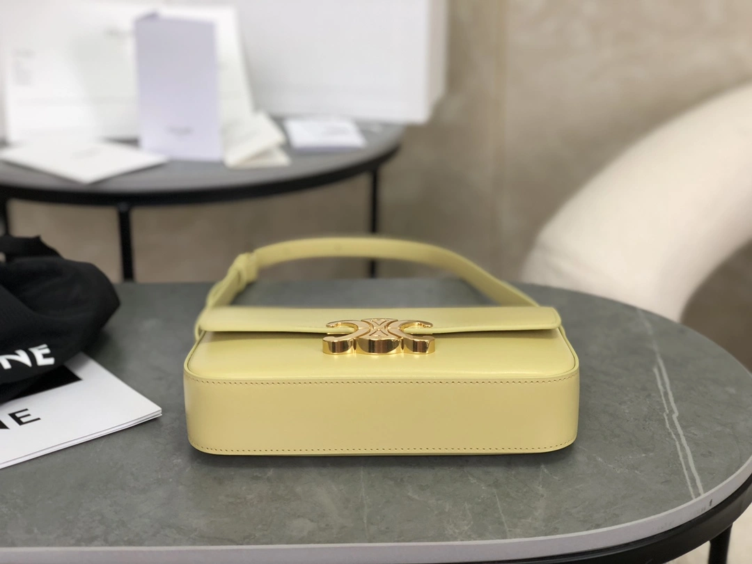 Celine Triomphe Bags Stretchable 94496