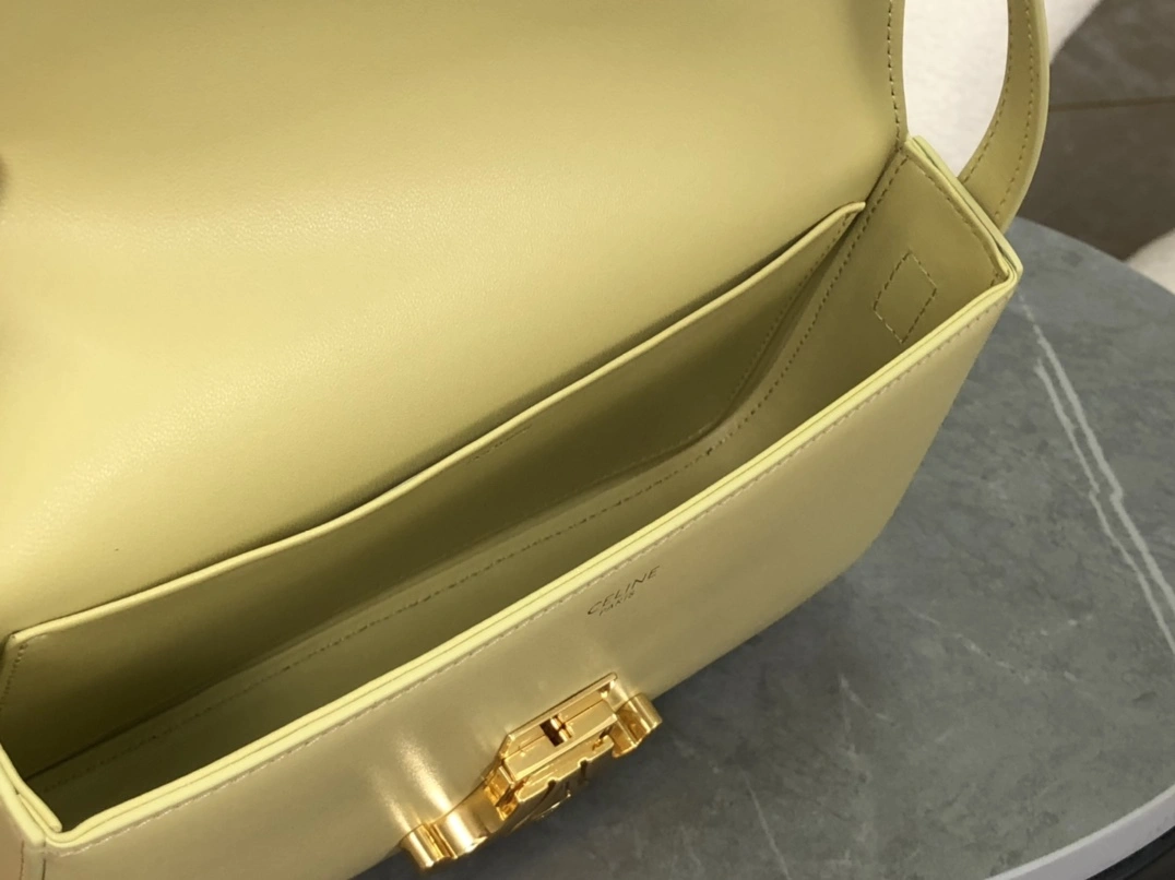 Celine Triomphe Bags Stretchable 94496