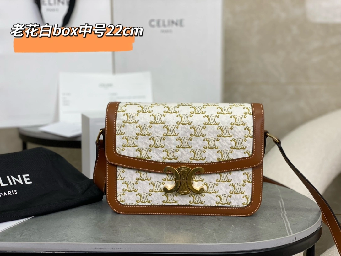 Youthful Celine Triomphe Bags 94526