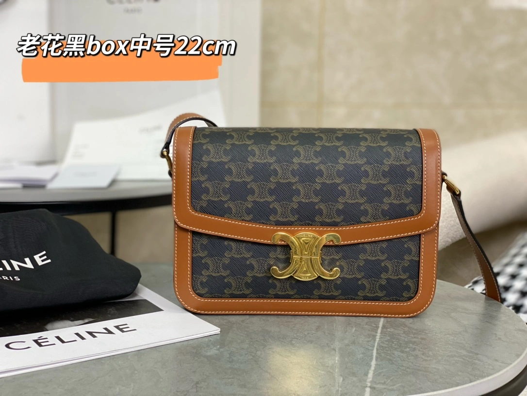 Celine Triomphe Bags GoodFit 94486