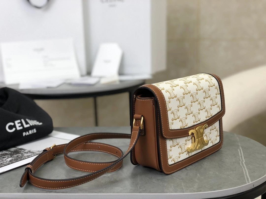 Celine Triomphe Bags BestValue 94554