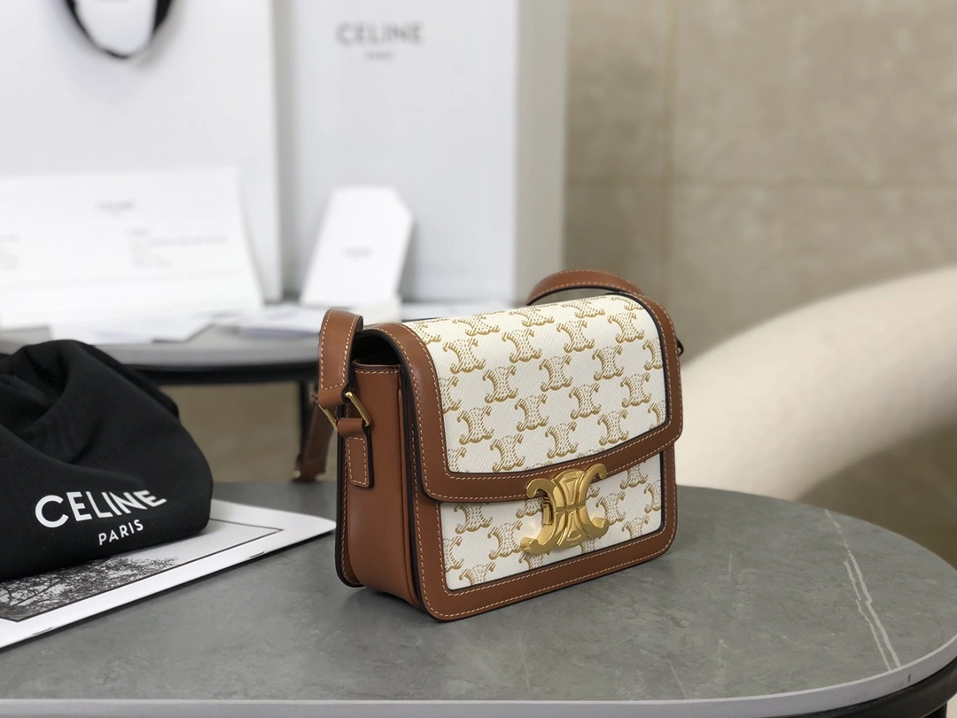 Celine Triomphe Bags BestValue 94554