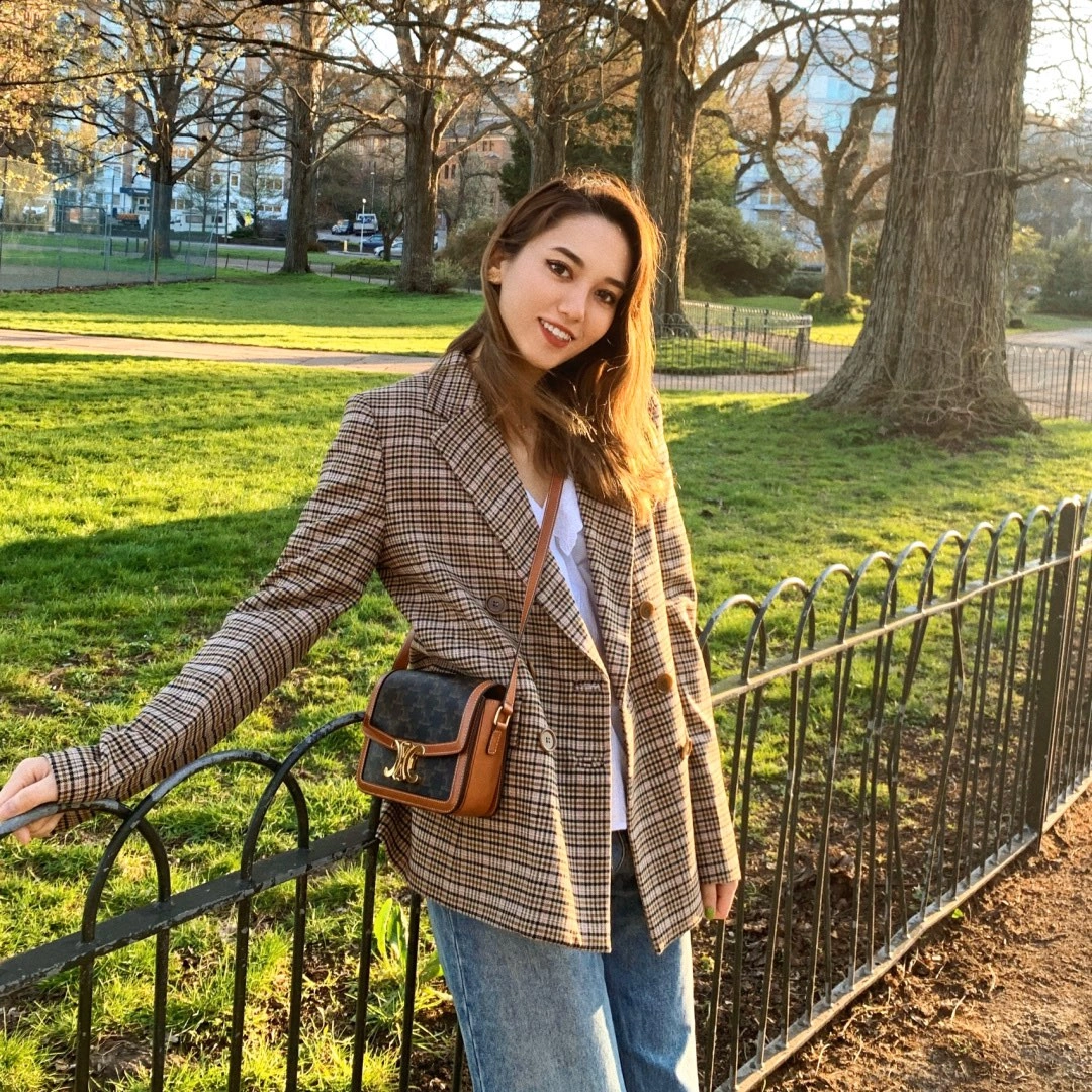 Affordable Celine Triomphe Bags 94483