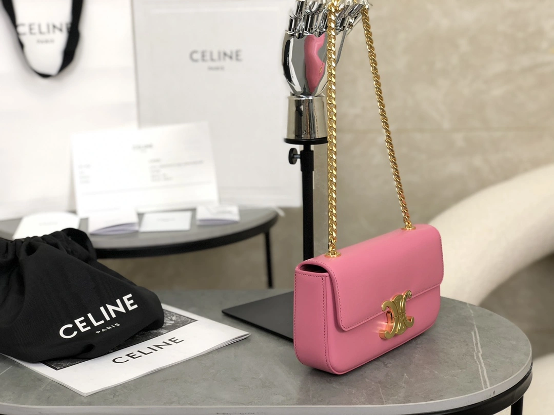Celine Triomphe Bags Packable 94519
