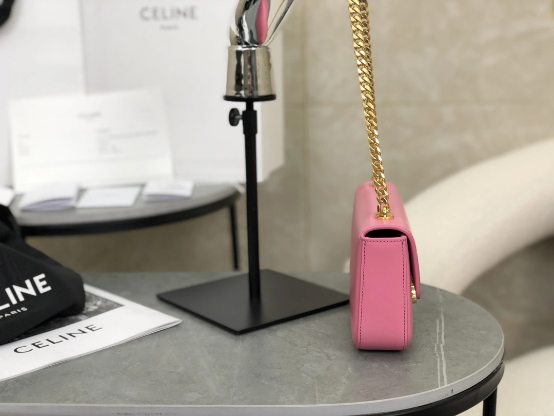 Celine Triomphe Bags Packable 94519