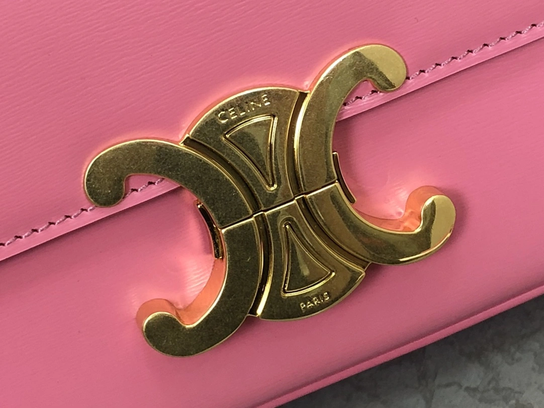 Celine Triomphe Bags Packable 94519