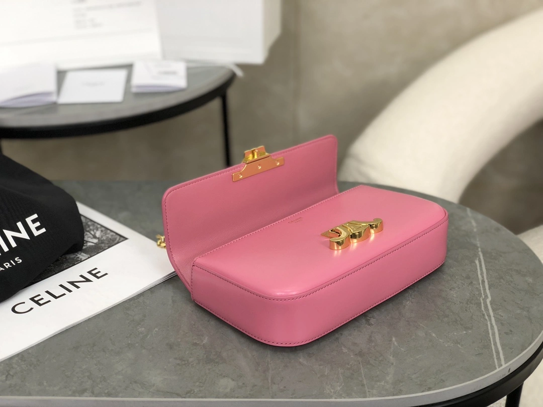 Celine Triomphe Bags Packable 94519