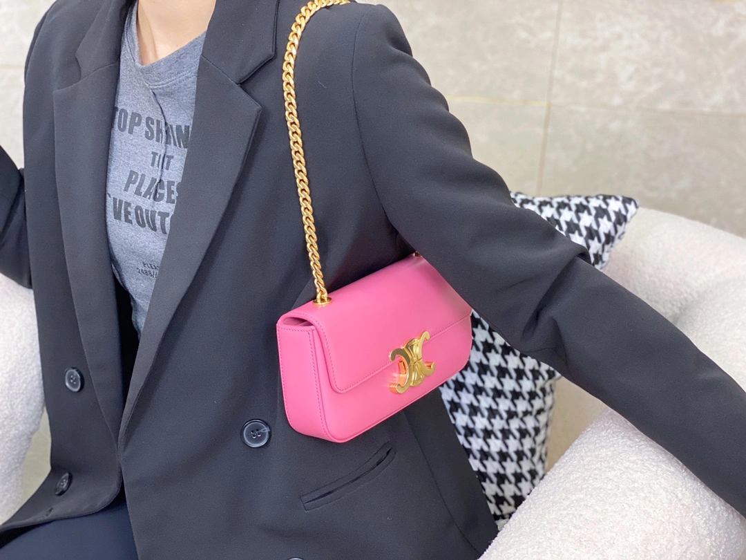 Celine Triomphe Bags Packable 94519