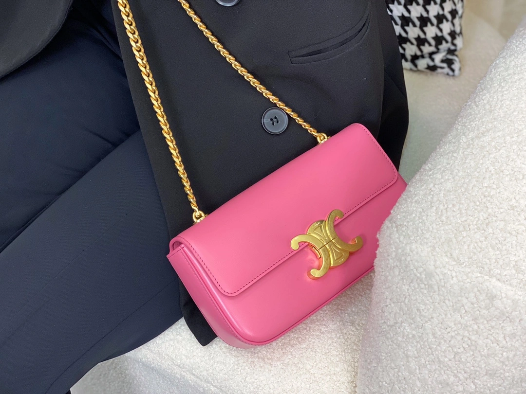 Celine Triomphe Bags Packable 94519