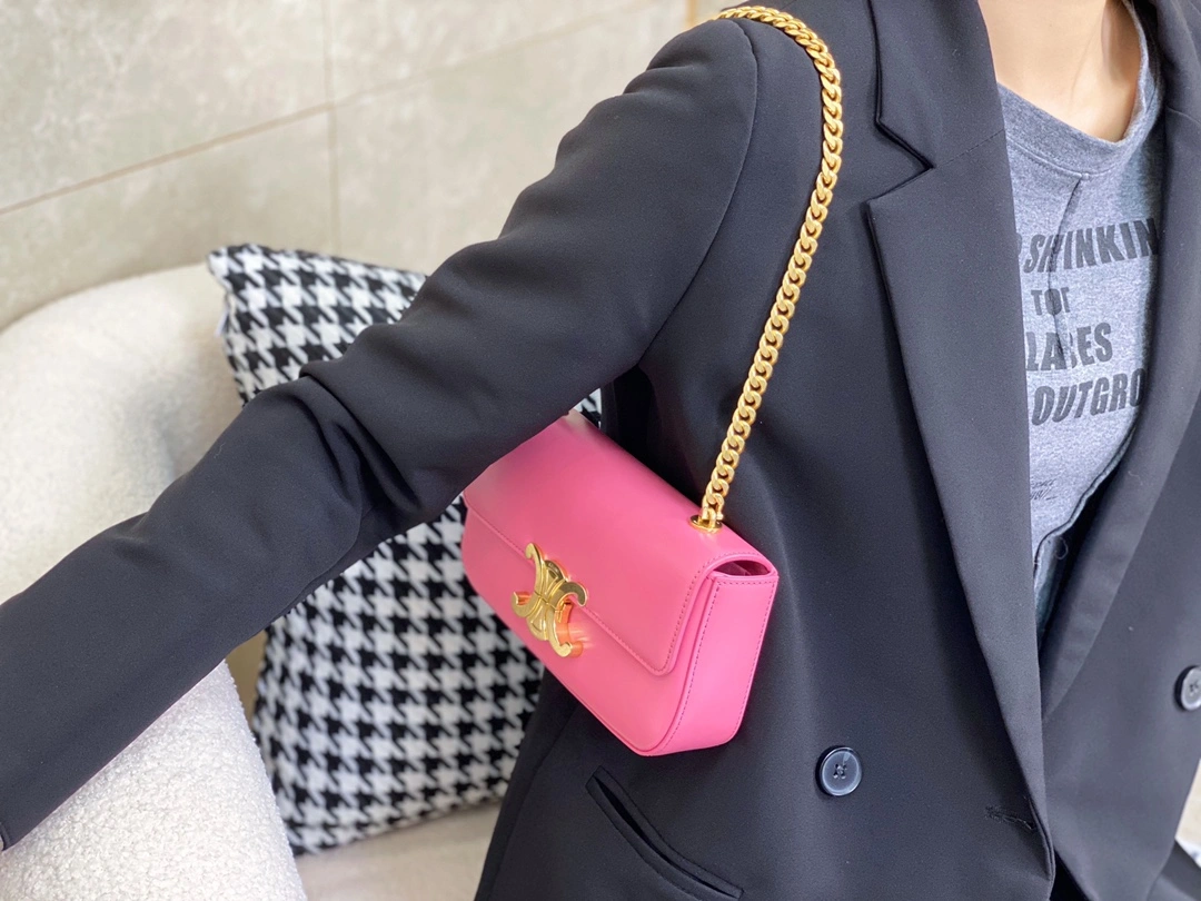 Celine Triomphe Bags Packable 94519