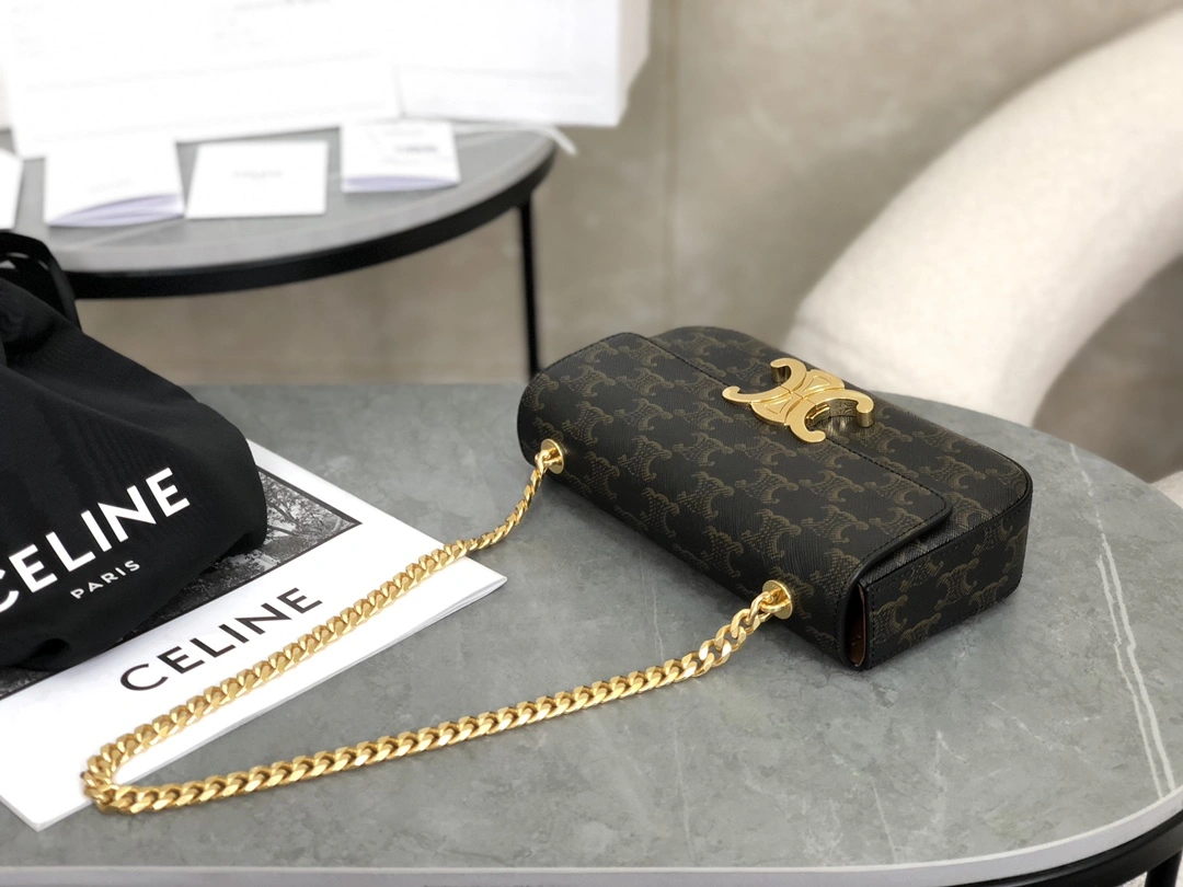 DailyWear Celine Triomphe Bags 94518