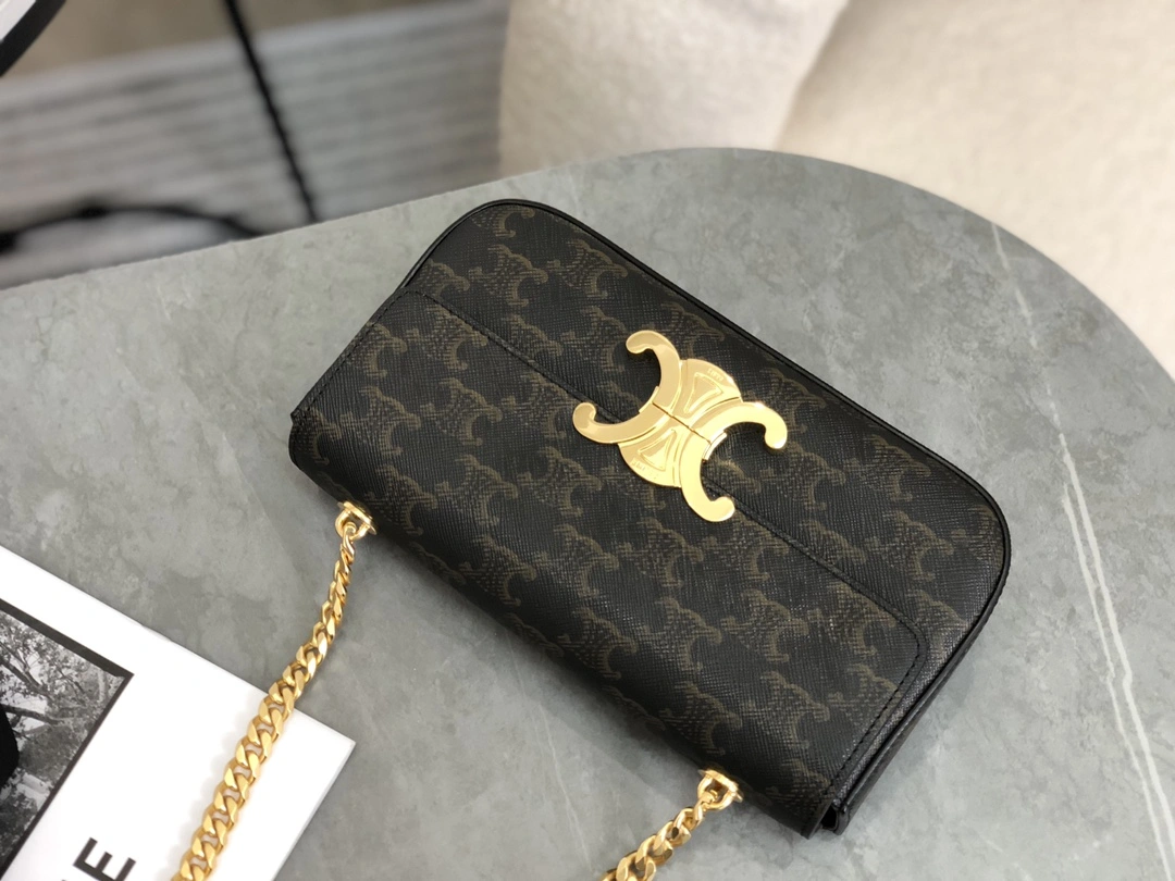 DailyWear Celine Triomphe Bags 94518