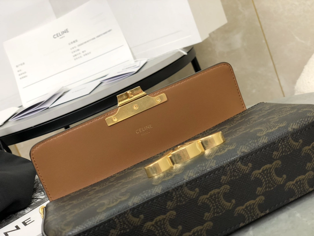 DailyWear Celine Triomphe Bags 94518