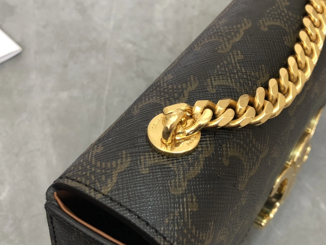 DailyWear Celine Triomphe Bags 94518