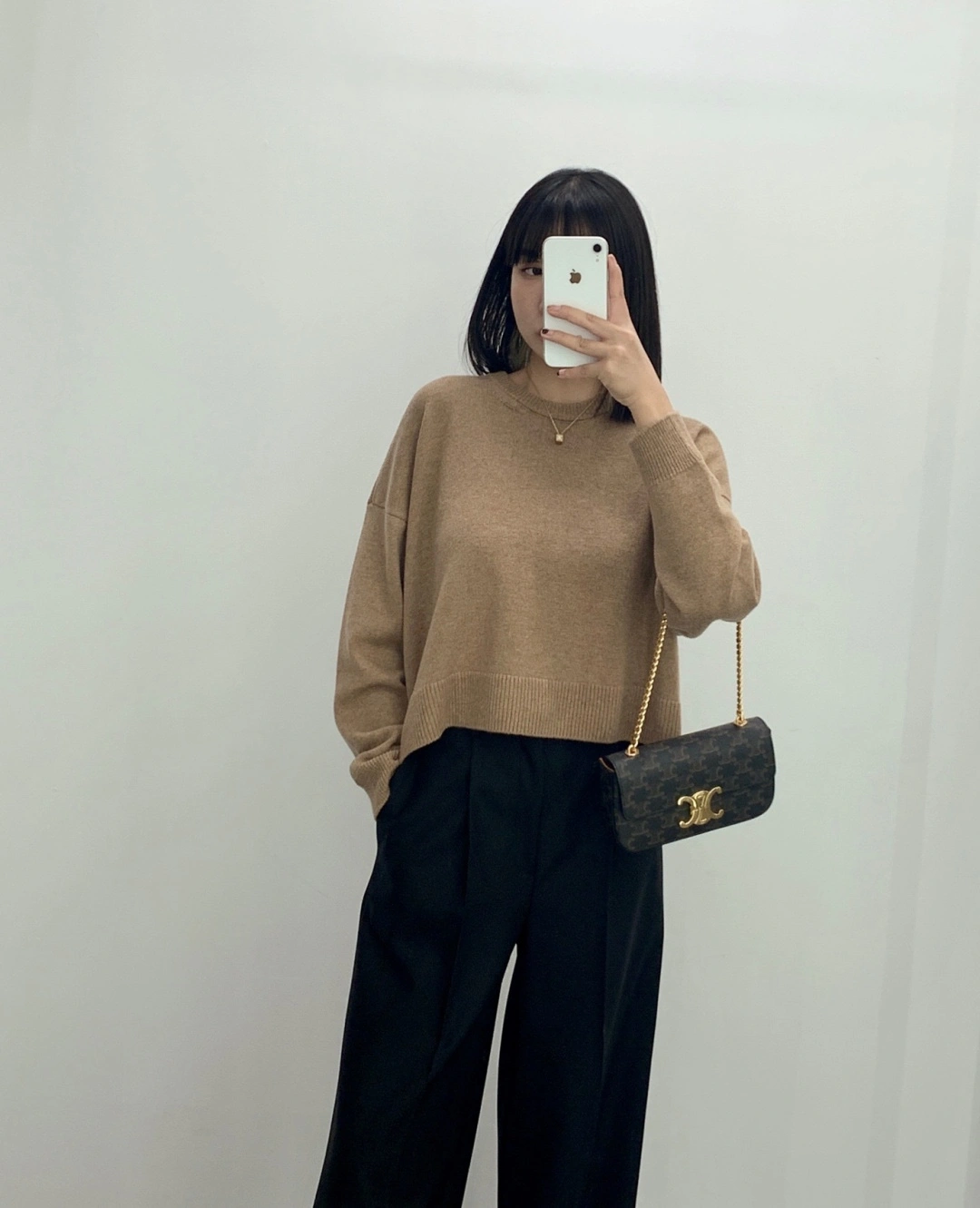 DailyWear Celine Triomphe Bags 94518