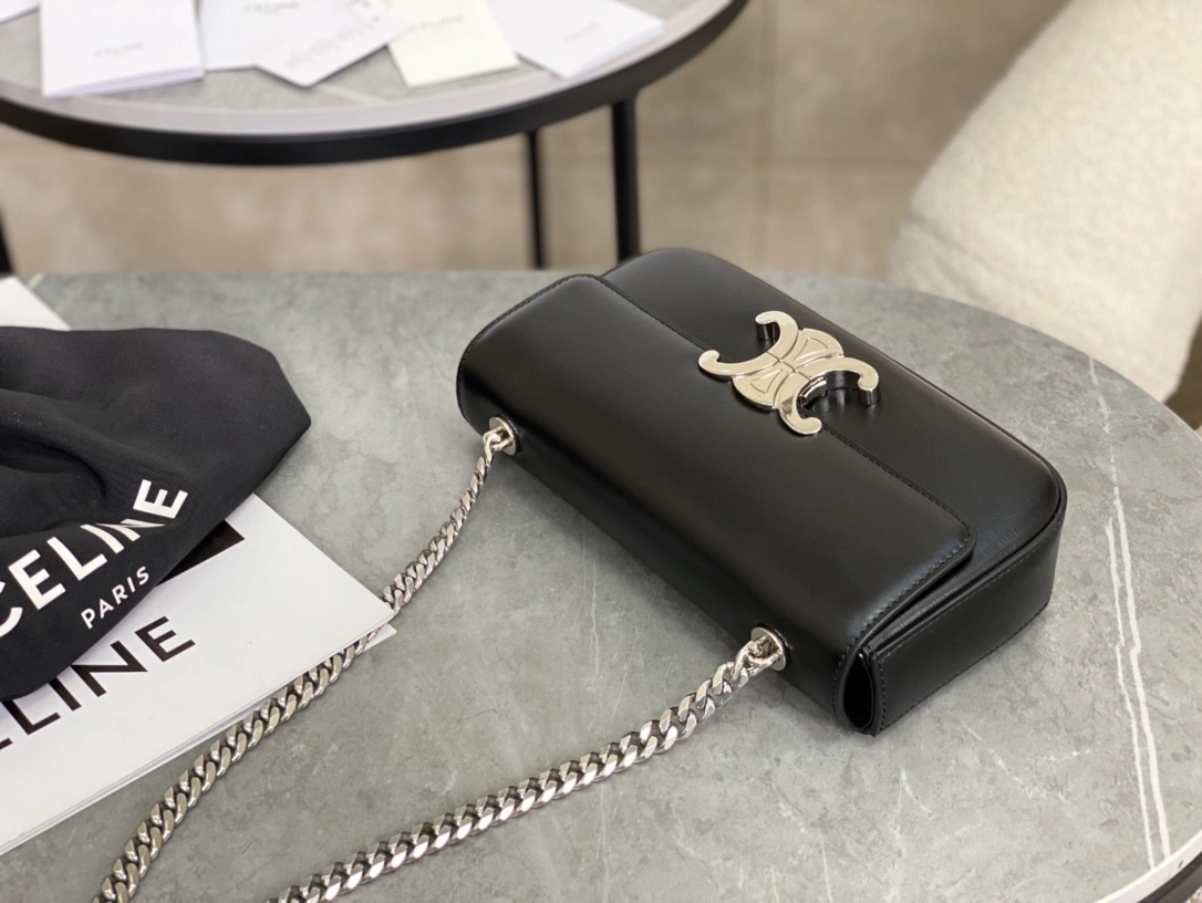 Stretchable Celine Triomphe Bags 94548