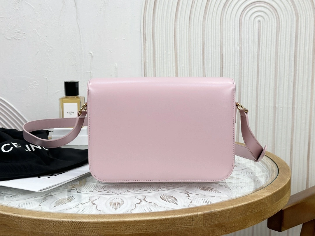 WellDesigned Celine Triomphe Bags 94477