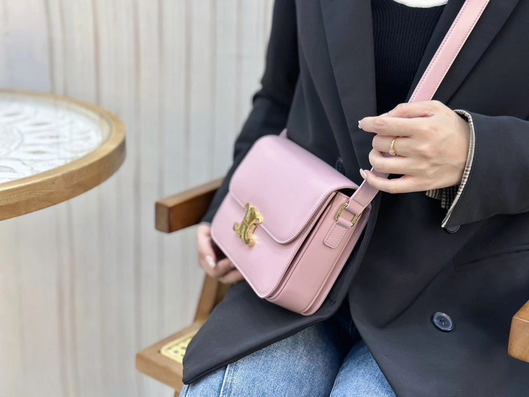 WellDesigned Celine Triomphe Bags 94477