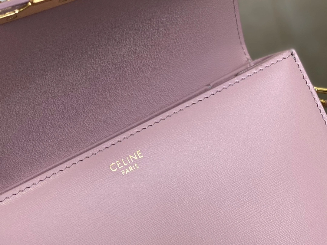 Cozy Celine Triomphe Bags 94474